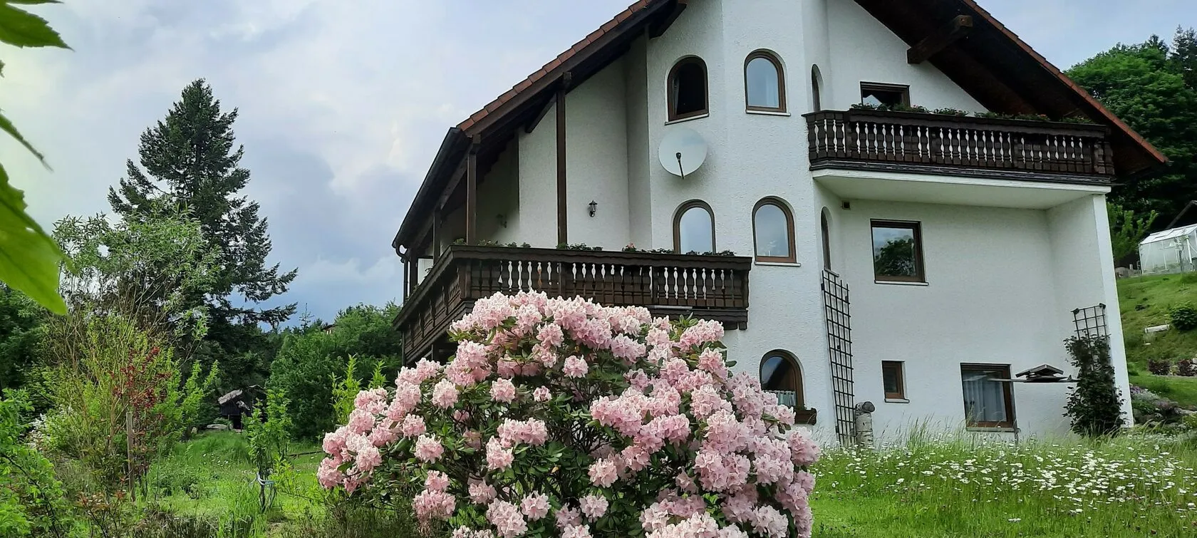 Das Haus im Frühling, davor ein blühender Rhododendron.