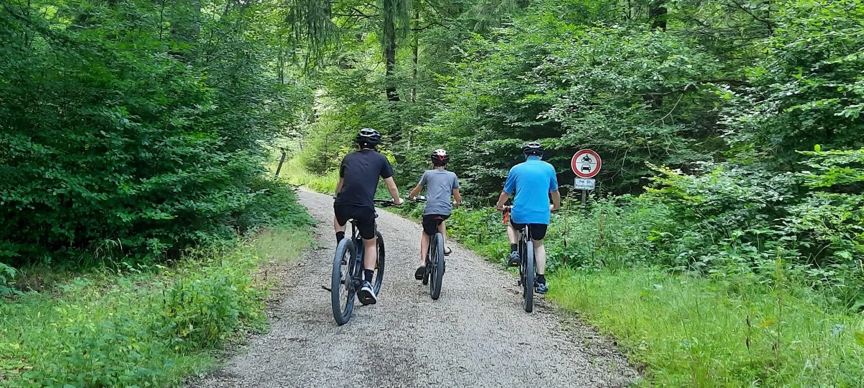 Drei Radfahrer auf einem geschotterten Waldweg zwischen dichtem Laubwald.