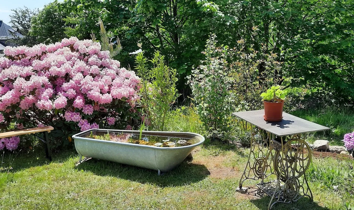 Garten mit blühendem Rhododendron und einer alten Zinkwanne als Miniteich.