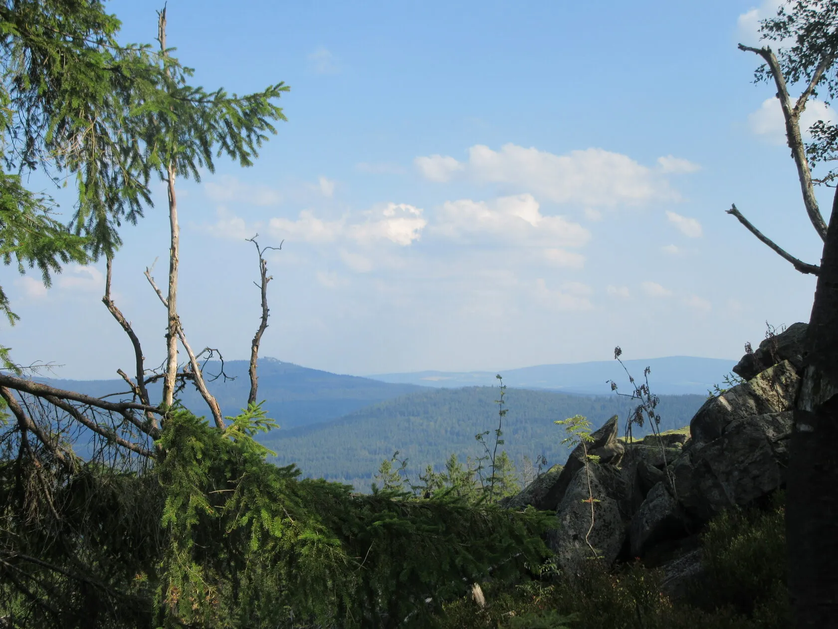 Weite Sicht über bewaldete Bergrücken, im Vordergrund Granitblöcke und Fichtenzweige.
